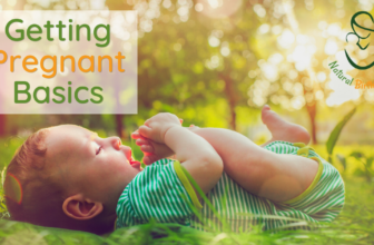 Getting Pregnant Fundamentals