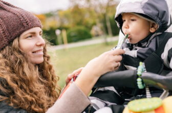 Greatest Strollers For A New child,...