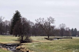 The Little Issues E-newsletter #456...