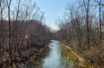 The Little Issues E-newsletter #460...