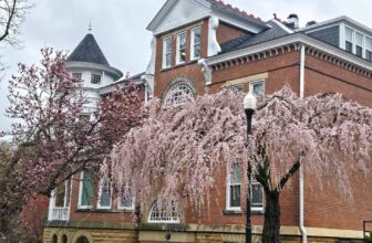 The Little Issues E-newsletter #463...