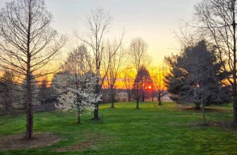 The Little Issues E-newsletter #464...