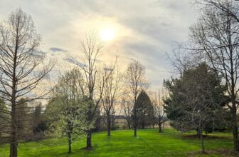 The Little Issues E-newsletter #465...