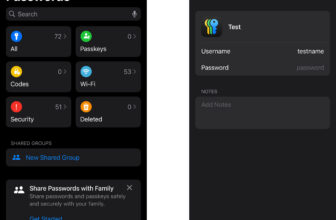 How you can use the Apple Passwords...