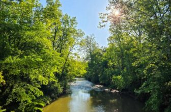 The Little Issues Publication #470 ...