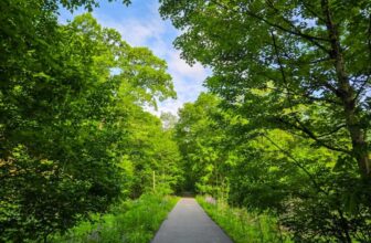 The Little Issues Publication #471 ...