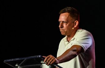 Peter Thiel is completely unsuitabl...