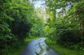 The Little Issues E-newsletter #472...