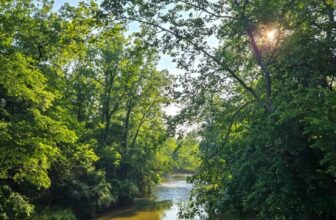 The Little Issues E-newsletter #473...