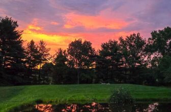 The Little Issues E-newsletter #475...