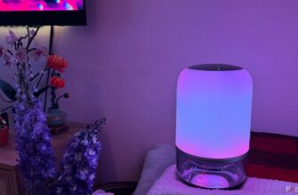 This lamp majorly upgraded my dwell...