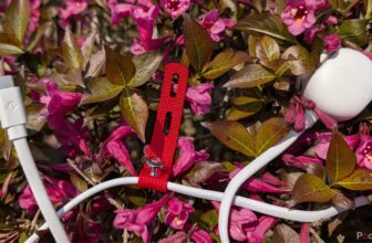 In the event you solely purchase on...