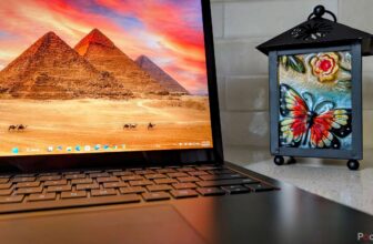 I exploit this Home windows 11 app ...