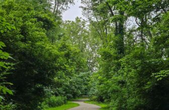 The Little Issues Publication #477 ...