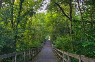 The Little Issues E-newsletter #479...