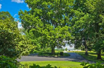 The Little Issues Publication #476 ...