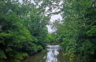 The Little Issues E-newsletter #478...