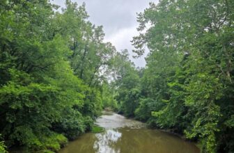 The Little Issues E-newsletter #480...