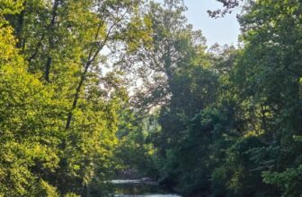 The Little Issues E-newsletter #483...