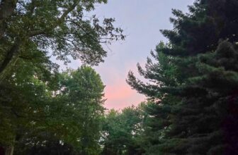 The Little Issues Publication #484 ...