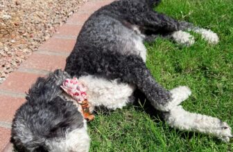 8.22 Friday Faves – The Fitne...