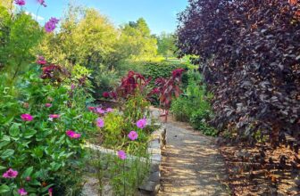 The Little Issues E-newsletter #486...