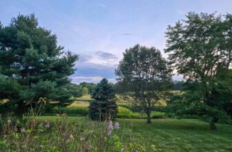 The Little Issues Publication #485 ...