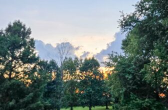 The Little Issues Publication #488 ...