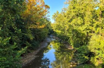 The Little Issues E-newsletter #487...