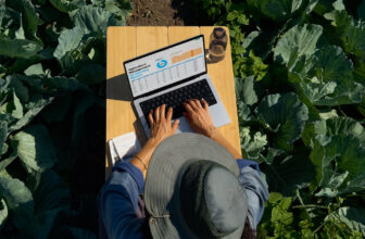 Apple Mac Gross sales Surge 15% In ...