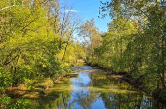 The Little Issues Publication #490 ...