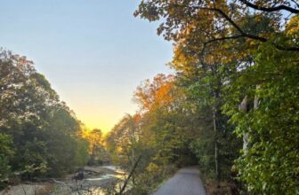 The Little Issues E-newsletter #491...