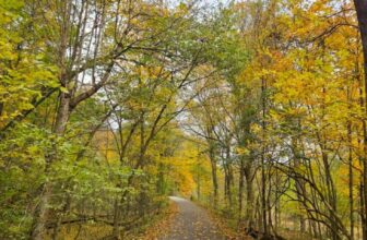 The Little Issues E-newsletter #492...