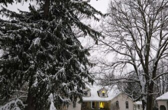 The Little Issues Publication #498 ...