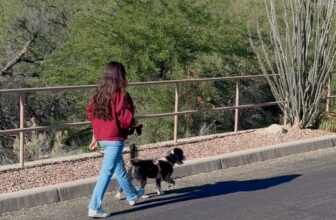 Low-Effort Wellness Habits That Rea...