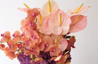 Floral Preparations – ShirleyR...