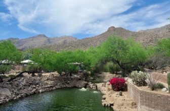 4.3 Friday Faves – The Fitnes...