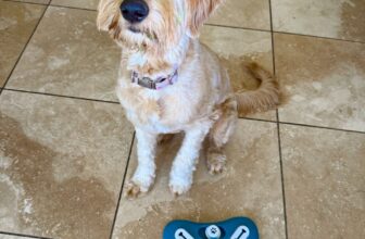 6.12 Friday Faves – The Fitne...